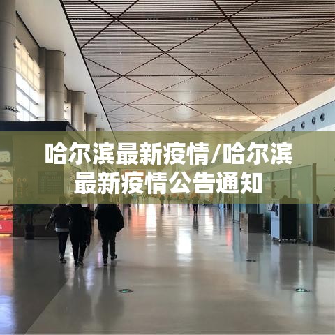 哈尔滨最新疫情/哈尔滨最新疫情公告通知