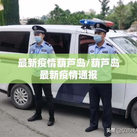 最新疫情葫芦岛/葫芦岛最新疫情通报