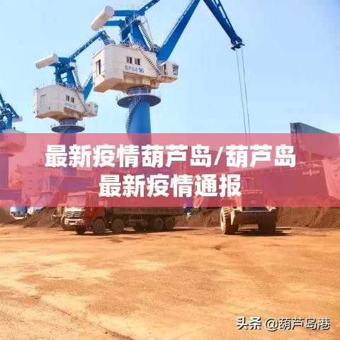 最新疫情葫芦岛/葫芦岛最新疫情通报