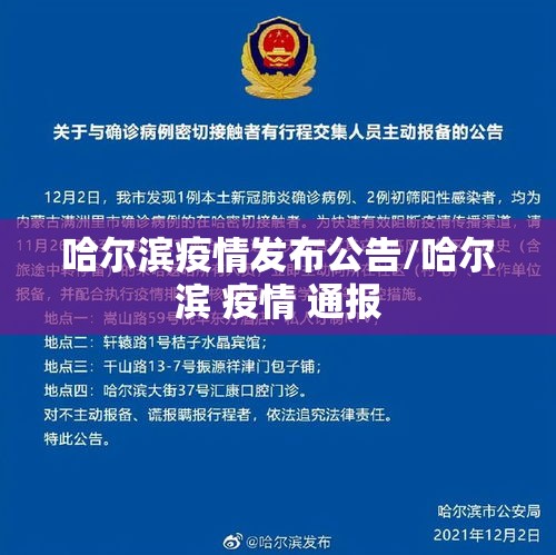 哈尔滨疫情发布公告/哈尔滨 疫情 通报