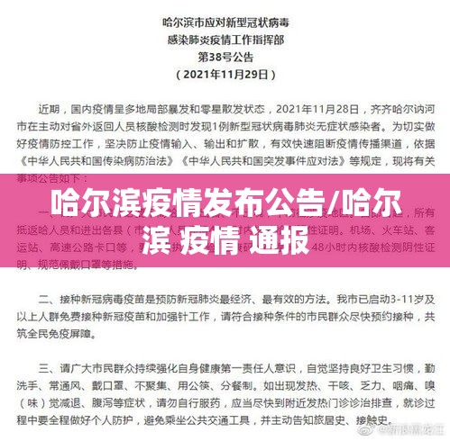 哈尔滨疫情发布公告/哈尔滨 疫情 通报
