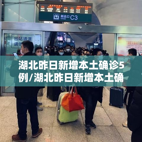 湖北昨日新增本土确诊5例/湖北昨日新增本土确诊47例 湖北昨日新增本土确诊5例/湖北昨日新增本土确诊47例