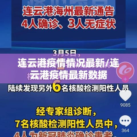 连云港疫情情况最新/连云港疫情最新数据 连云港疫情情况最新/连云港疫情最新数据
