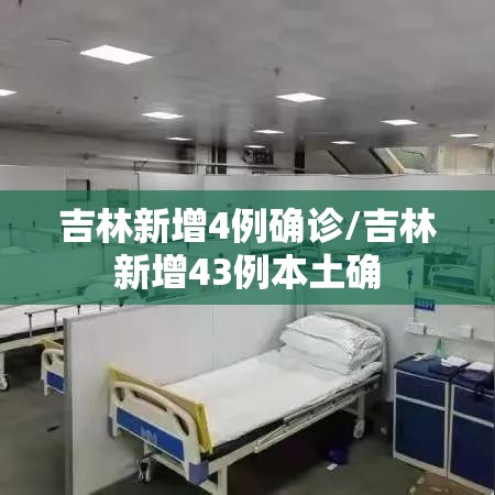 吉林新增4例确诊/吉林新增43例本土确