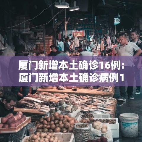 厦门新增本土确诊16例:厦门新增本土确诊病例16例