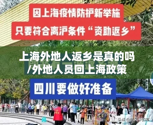 上海外地人返乡是真的吗/外地人员回上海政策