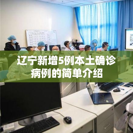 辽宁新增5例本土确诊病例的简单介绍