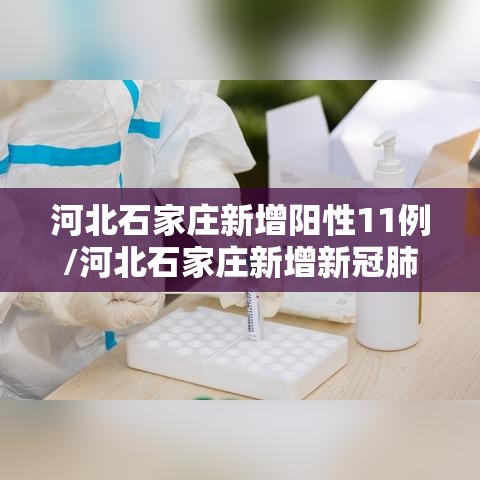 河北石家庄新增阳性11例/河北石家庄新增新冠肺炎确诊病例2例