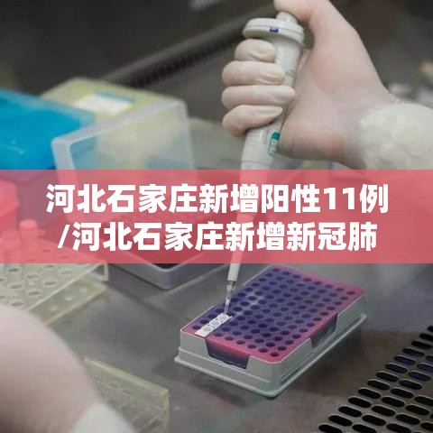 河北石家庄新增阳性11例/河北石家庄新增新冠肺炎确诊病例2例