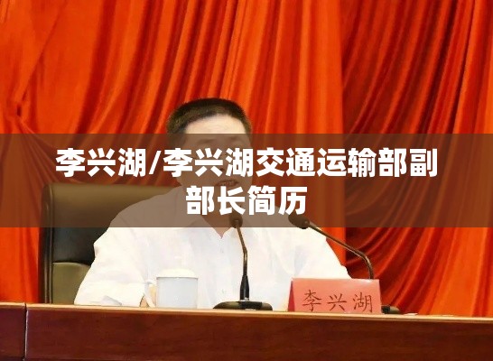 李兴湖/李兴湖交通运输部副部长简历