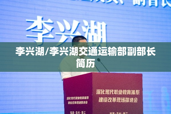 李兴湖/李兴湖交通运输部副部长简历