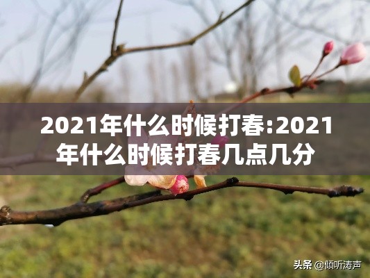 2021年什么时候打春:2021年什么时候打春几点几分