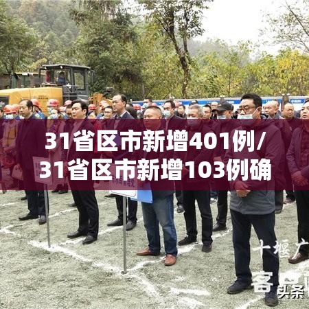 31省区市新增401例/31省区市新增103例确