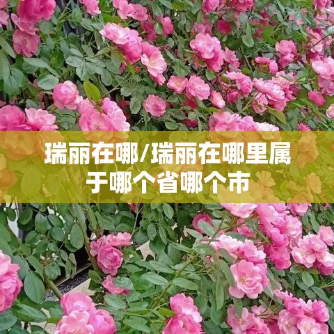 瑞丽在哪/瑞丽在哪里属于哪个省哪个市