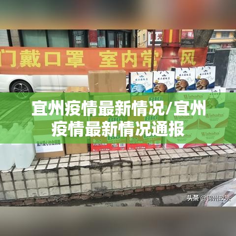 宜州疫情最新情况/宜州疫情最新情况通报