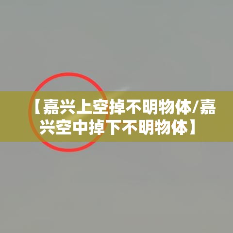 【嘉兴上空掉不明物体/嘉兴空中掉下不明物体】