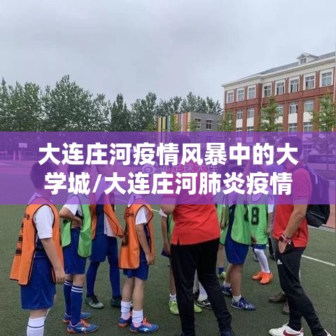大连庄河疫情风暴中的大学城/大连庄河肺炎疫情几例