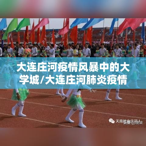 大连庄河疫情风暴中的大学城/大连庄河肺炎疫情几例