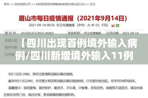 【四川出现首例境外输入病例/四川新增境外输入11例 视频】