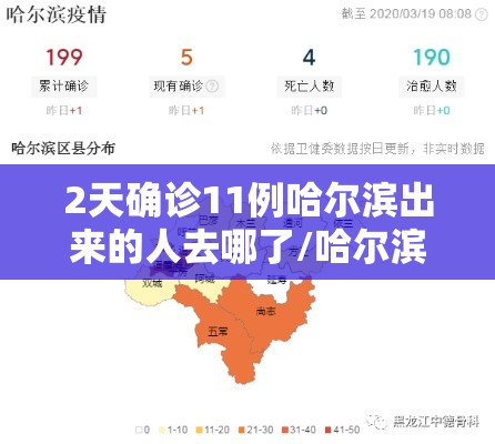 2天确诊11例哈尔滨出来的人去哪了/哈尔滨确诊路径 2天确诊11例哈尔滨出来的人去哪了/哈尔滨确诊路径