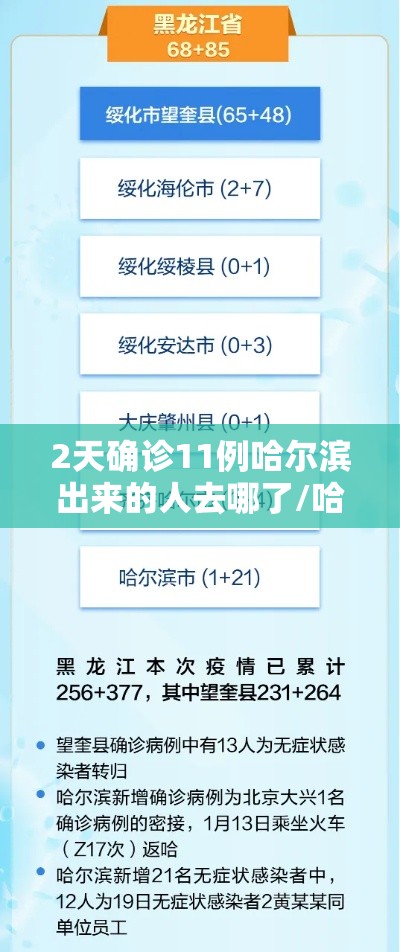 2天确诊11例哈尔滨出来的人去哪了/哈尔滨确诊路径 2天确诊11例哈尔滨出来的人去哪了/哈尔滨确诊路径