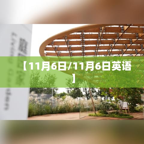 【11月6日/11月6日英语】