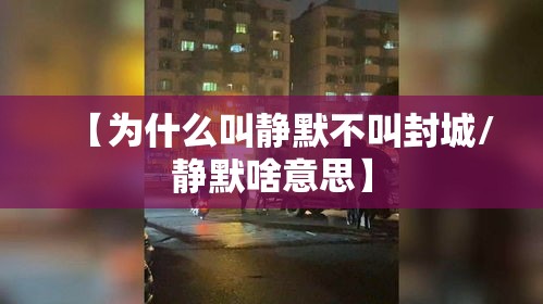 【为什么叫静默不叫封城/静默啥意思】