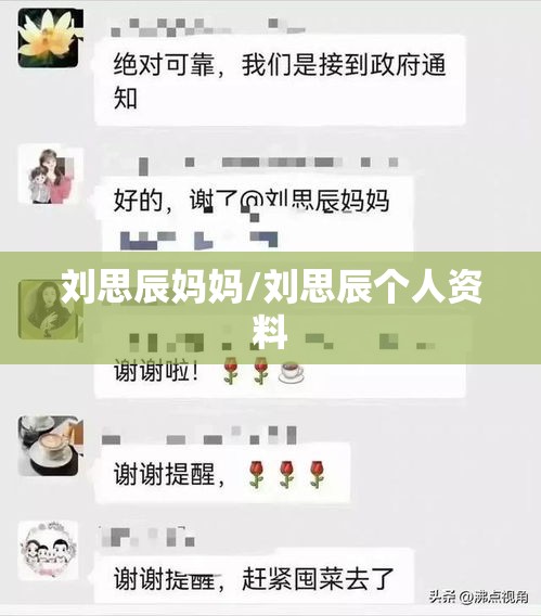 刘思辰妈妈/刘思辰个人资料