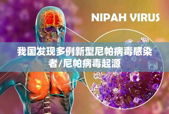 我国发现多例新型尼帕病毒感染者/尼帕病毒起源 我国发现多例新型尼帕病毒感染者/尼帕病毒起源