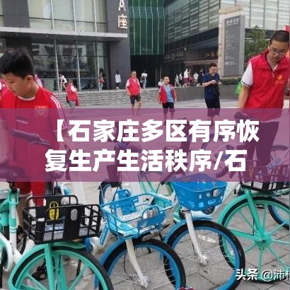 【石家庄多区有序恢复生产生活秩序/石家庄全面恢复】