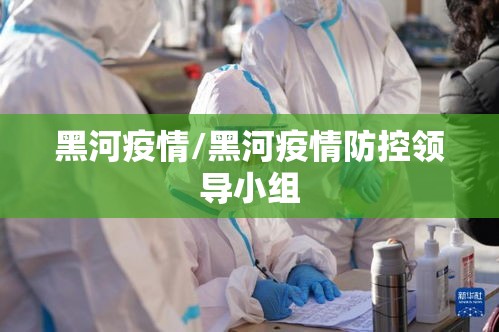 黑河疫情/黑河疫情防控领导小组