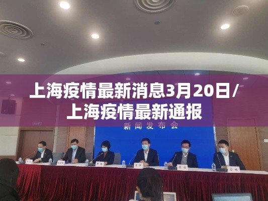 上海疫情最新消息3月20日/上海疫情最新通报