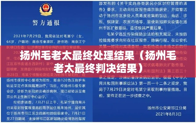 扬州毛老太最终处理结果（扬州毛老太最终判决结果）