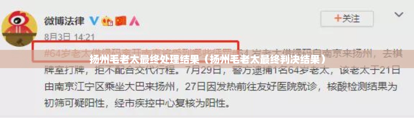 扬州毛老太最终处理结果(扬州毛老太最终判决结果) 扬州毛老太最终处理结果(扬州毛老太最终判决结果)