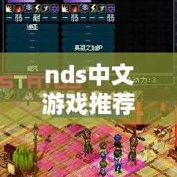 nds中文游戏推荐（nds 中文游戏）