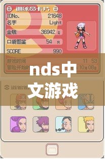 nds中文游戏推荐（nds 中文游戏）