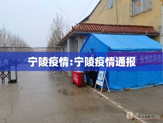 宁陵疫情:宁陵疫情通报