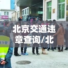 北京交通违章查询/北京交通违章查询大厅