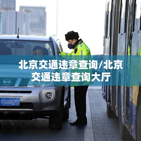 北京交通违章查询/北京交通违章查询大厅