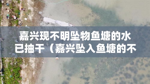 嘉兴现不明坠物鱼塘的水已抽干（嘉兴坠入鱼塘的不明物体）