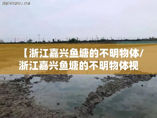 【浙江嘉兴鱼塘的不明物体/浙江嘉兴鱼塘的不明物体视频】 【浙江嘉兴鱼塘的不明物体/浙江嘉兴鱼塘的不明物体视频】