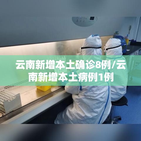 云南新增本土确诊8例/云南新增本土病例1例