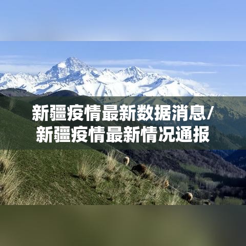 新疆疫情最新数据消息/新疆疫情最新情况通报