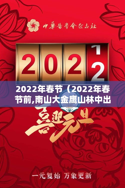 2022年春节（2022年春节前,南山大金鹰山林中出现了什么罕见动物）