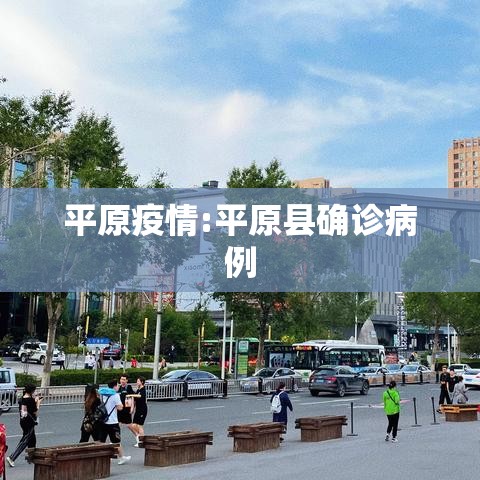 平原疫情:平原县确诊病例 平原疫情:平原县确诊病例