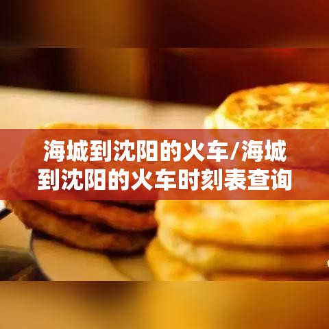 海城到沈阳的火车/海城到沈阳的火车时刻表查询最新消息