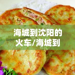 海城到沈阳的火车/海城到沈阳的火车时刻表查询最新消息