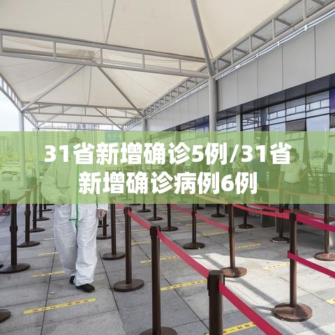31省新增确诊5例/31省新增确诊病例6例