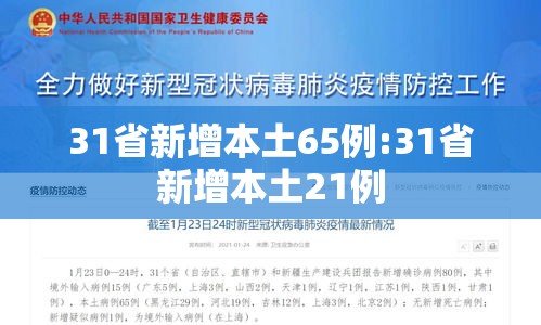 31省新增本土65例:31省新增本土21例