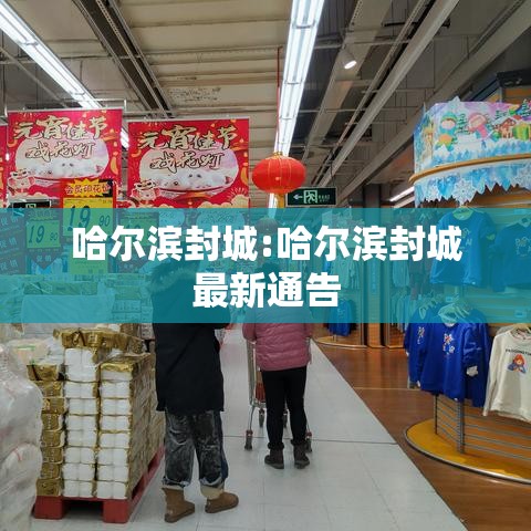 哈尔滨封城:哈尔滨封城最新通告